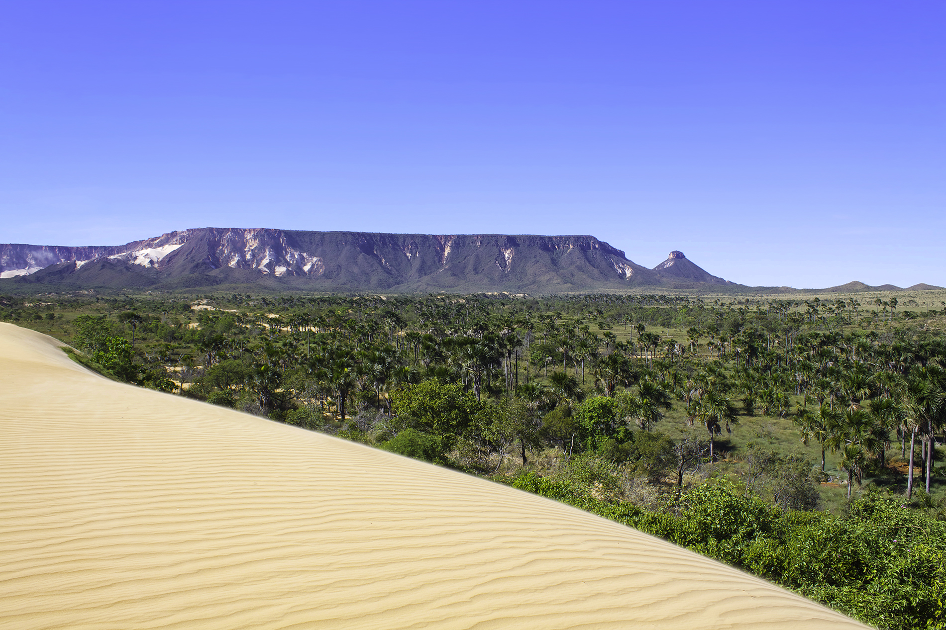 Tocantins